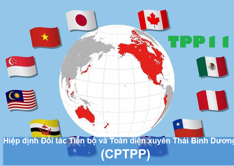Cơ hội và thách thức của Hiệp định Đối tác toàn diện và tiến bộ xuyên Thái Bình Dương (CPTPP)