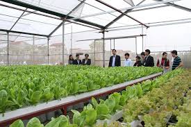 Quy hoạch vùng nông nghiệp ứng dụng công nghệ cao tỉnh Bắc Giang đến năm 2025, định hướng đến năm...