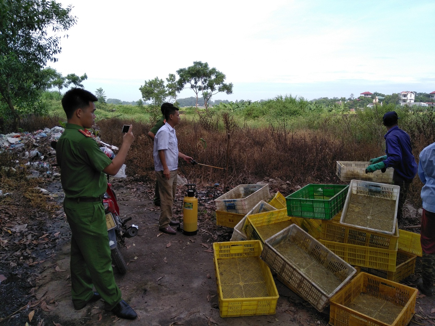 Đội QLTT Lạng Giang tiêu hủy 5.500 con vịt giống nhập lậu từ Trung Quốc